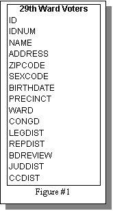 Text Box: 29th Ward Voters
ID
IDNUM
NAME
ADDRESS
ZIPCODE
SEXCODE
BIRTHDATE
PRECINCT
WARD
CONGD
LEGDIST
REPDIST
BDREVIEW
JUDDIST
CCDIST
Figure #1
