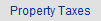 Property Taxes