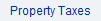 Property Taxes