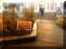 DSCN2104_small