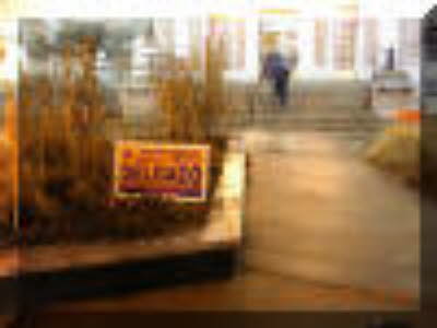 DSCN2104_small