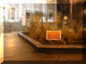 DSCN2106_small