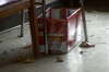 Picture 005