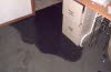 f8229805