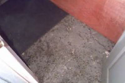f8229813