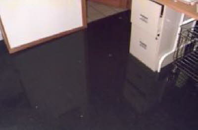 f8229815