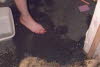 f8229829