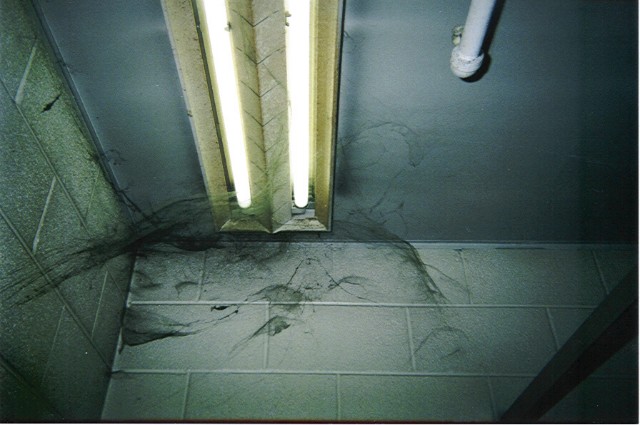 ../Images/010902p001.jpg