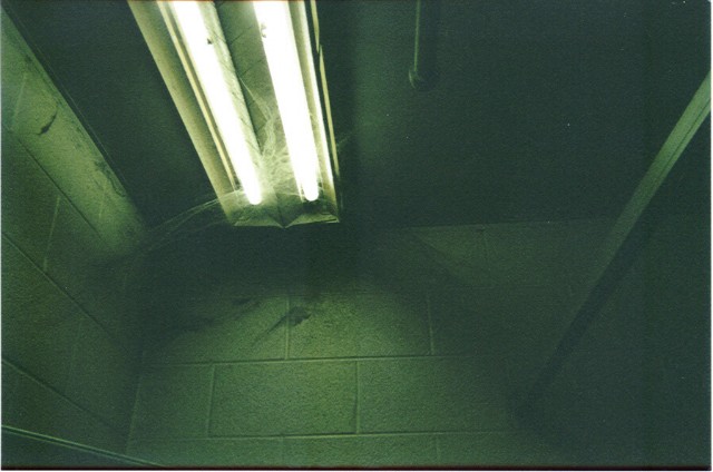 ../Images/010902p013.jpg