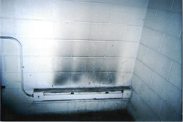 ../Images/020502p003.jpg