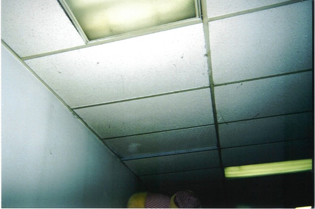 ../Images/020502p010.jpg