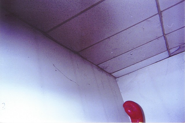 ../Images/041301p003.jpg