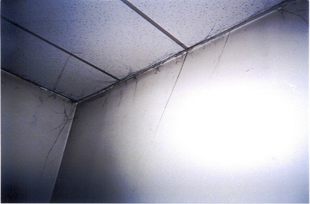 ../Images/043002p010.jpg