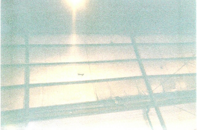 ../Images/073101p004.jpg