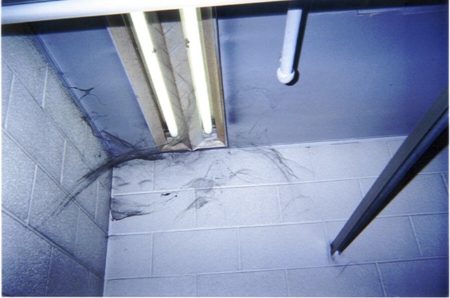 ../Images/122001p001.jpg
