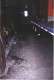 Thumbs/tn_undated038.jpg